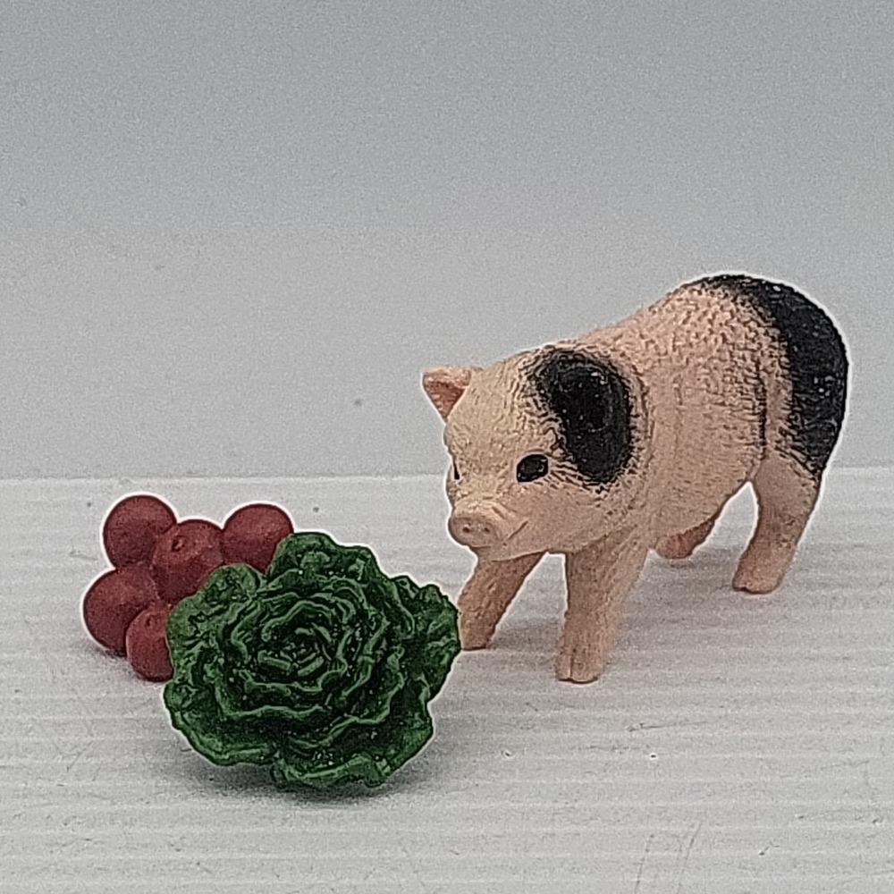 Schleich Pig W Accessories-42422‎